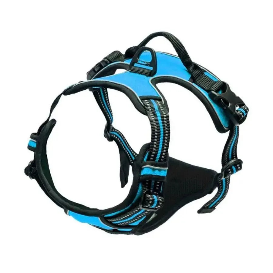 Premium leather dog harness & collar set – Style meets comfort