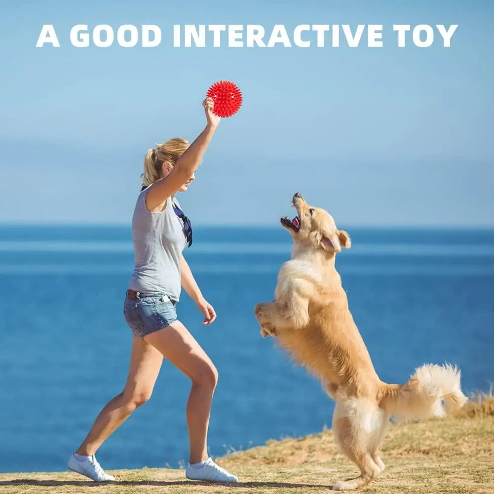 1/36pcs spiky squeaky ball toy – safe, durable, and tons of fun!