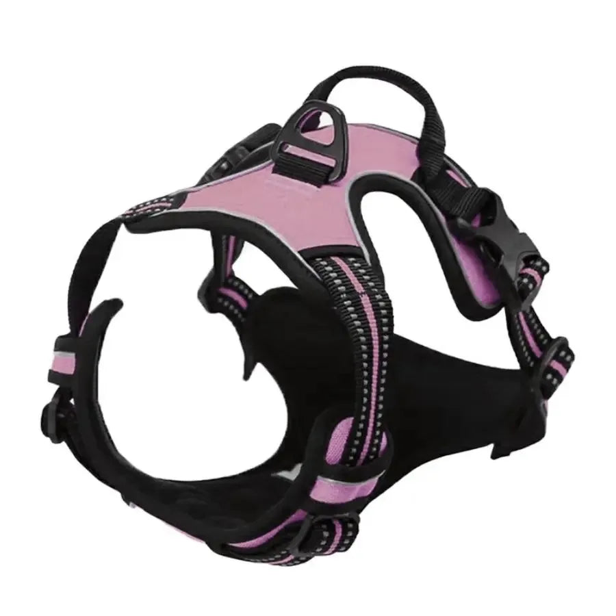 Premium leather dog harness & collar set – Style meets comfort