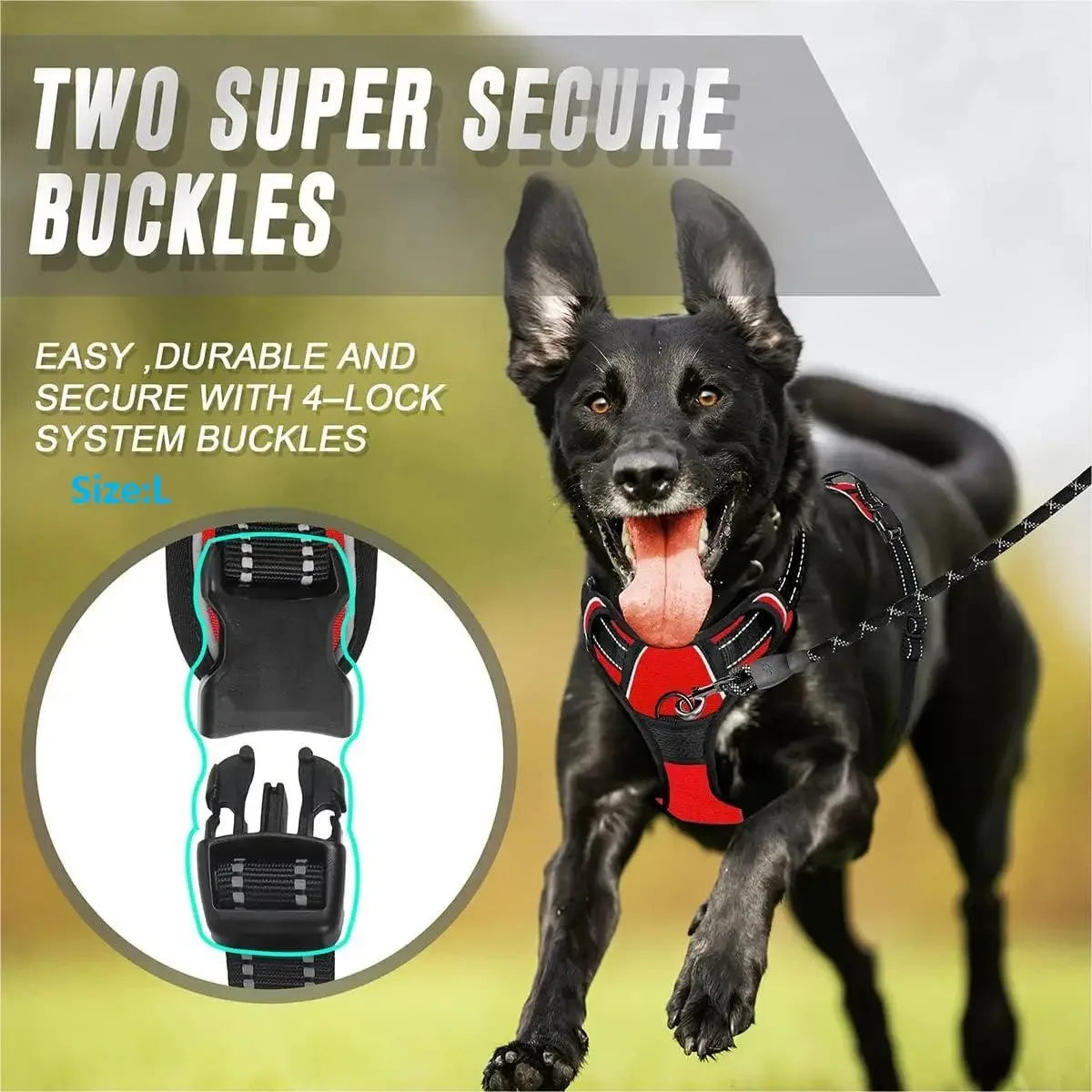 Premium leather dog harness & collar set – Style meets comfort