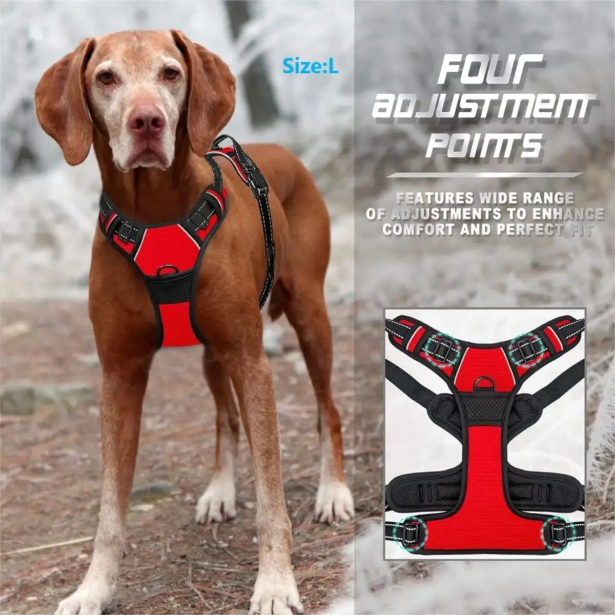 Premium leather dog harness & collar set – Style meets comfort