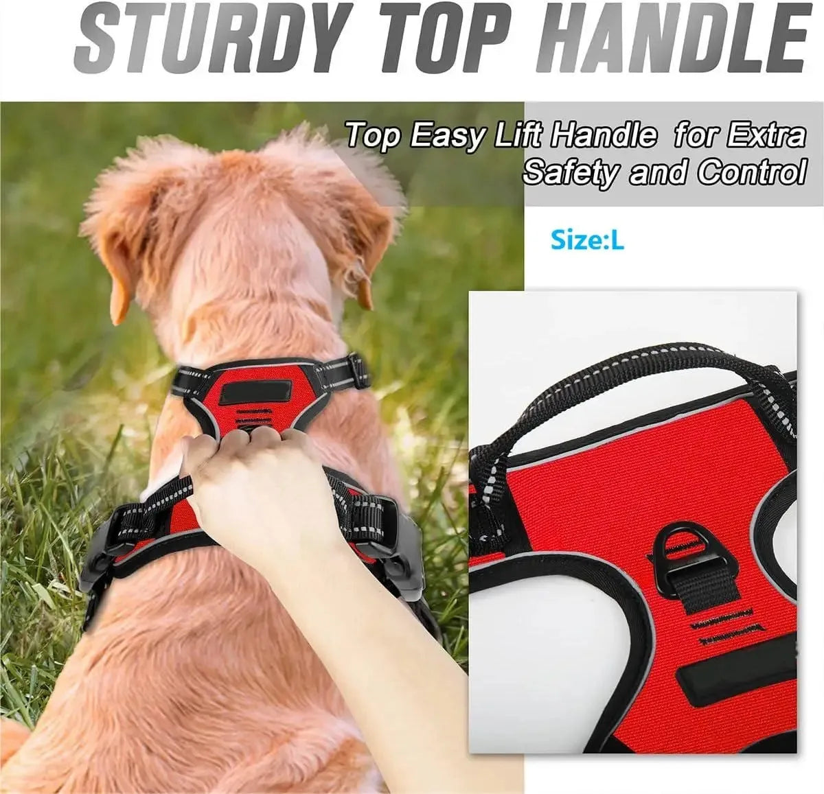 Premium leather dog harness & collar set – Style meets comfort