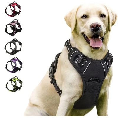 Premium leather dog harness & collar set – Style meets comfort