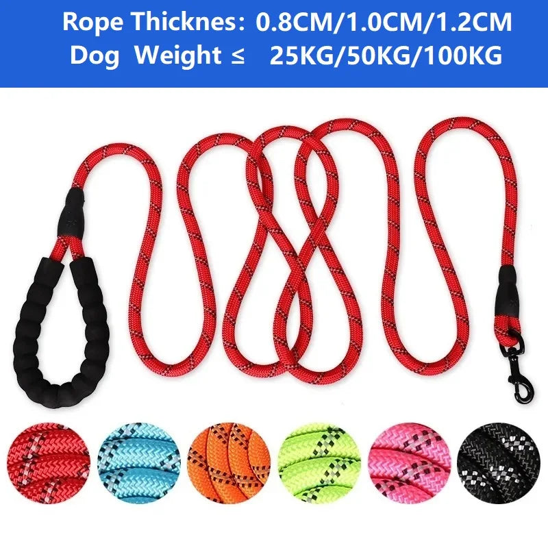 Ultra-resistant reflective dog leash – 120/150/200/300CM