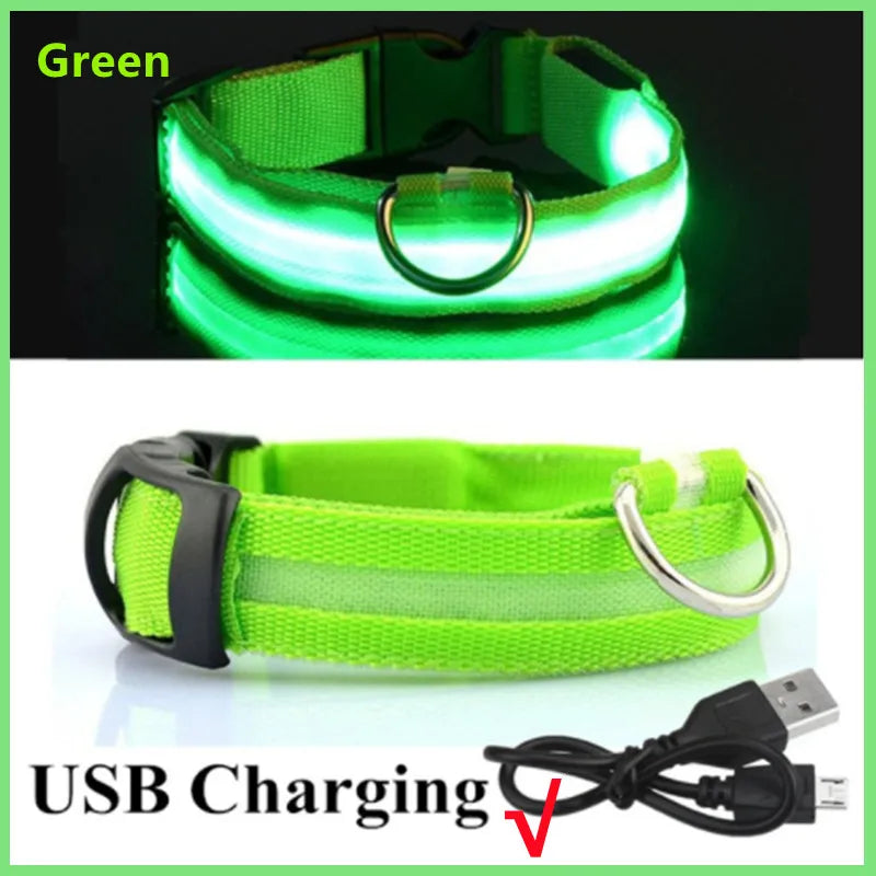 COOYOMOO USB rechargeable LED glowing pet collar