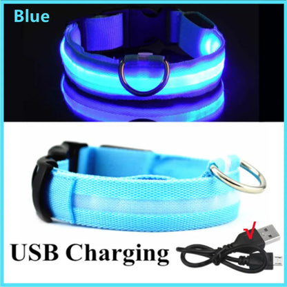COOYOMOO USB rechargeable LED glowing pet collar