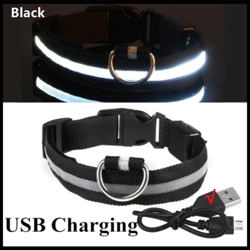 COOYOMOO USB rechargeable LED glowing pet collar
