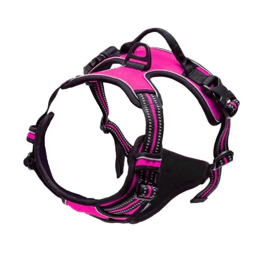 Premium leather dog harness & collar set – Style meets comfort