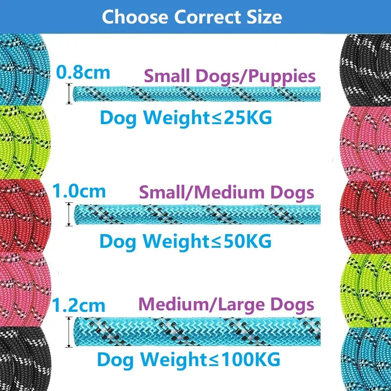 Ultra-resistant reflective dog leash – 120/150/200/300CM