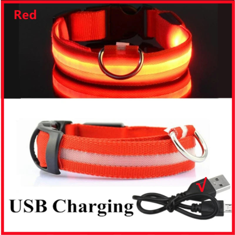 COOYOMOO USB rechargeable LED glowing pet collar