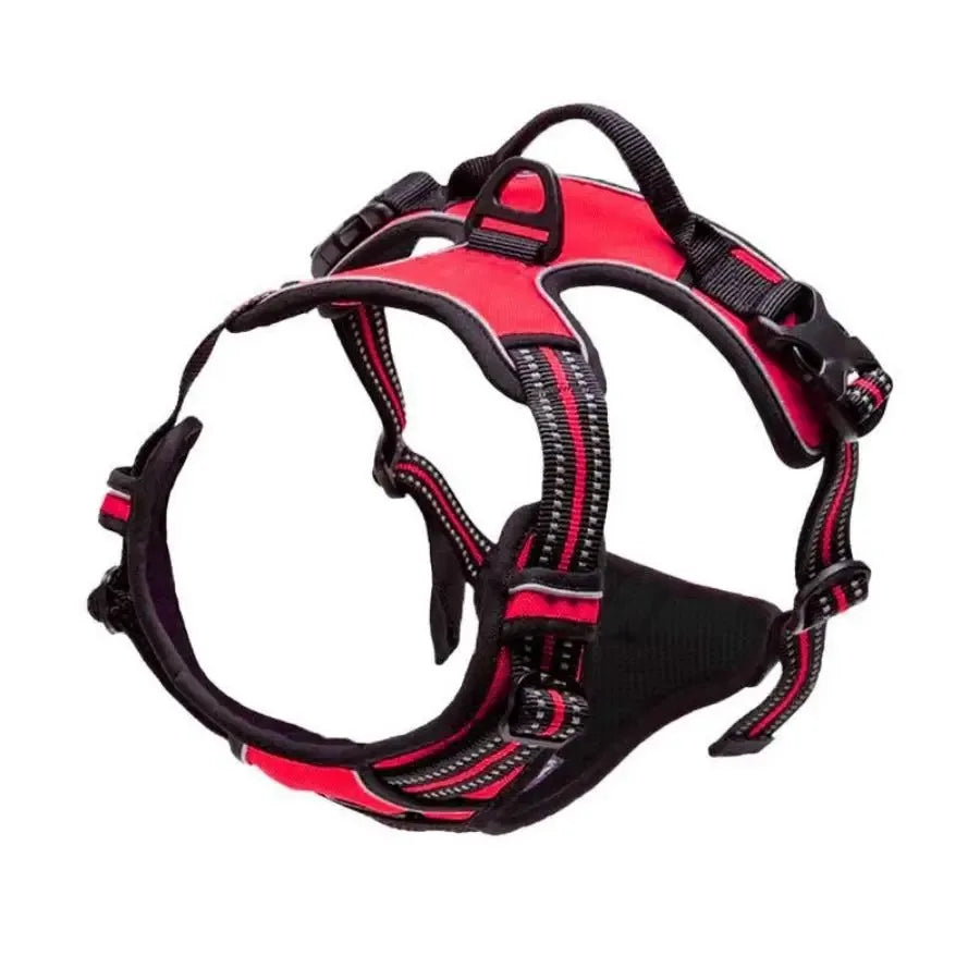 Premium leather dog harness & collar set – Style meets comfort