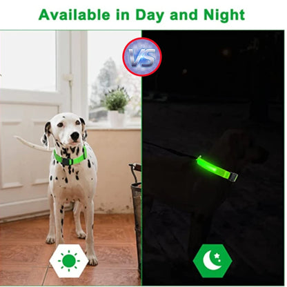 COOYOMOO USB rechargeable LED glowing pet collar