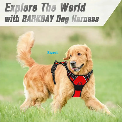 Premium leather dog harness & collar set – Style meets comfort
