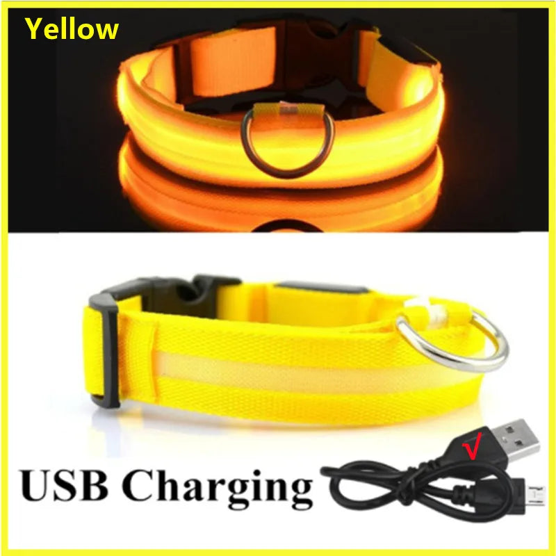 COOYOMOO USB rechargeable LED glowing pet collar
