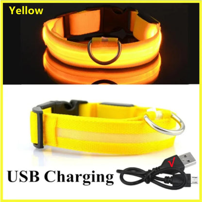 COOYOMOO USB rechargeable LED glowing pet collar