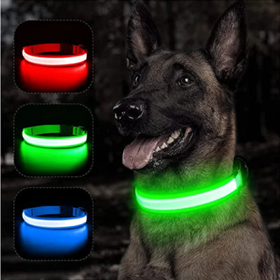 COOYOMOO USB rechargeable LED glowing pet collar