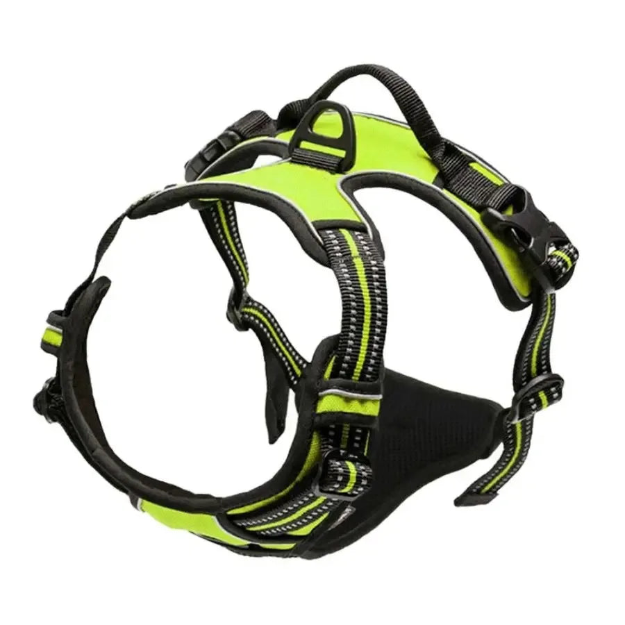 Premium leather dog harness & collar set – Style meets comfort
