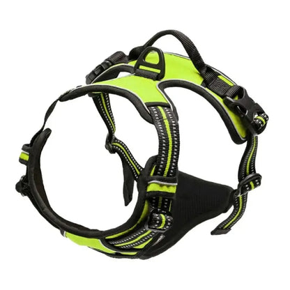Premium leather dog harness & collar set – Style meets comfort