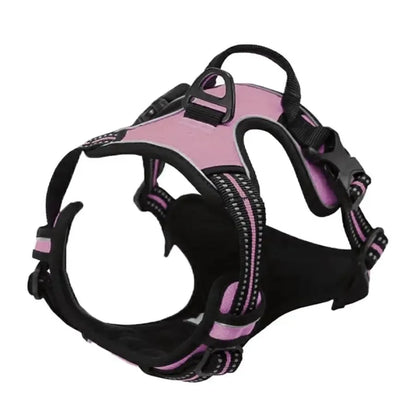 Premium leather dog harness & collar set – Style meets comfort