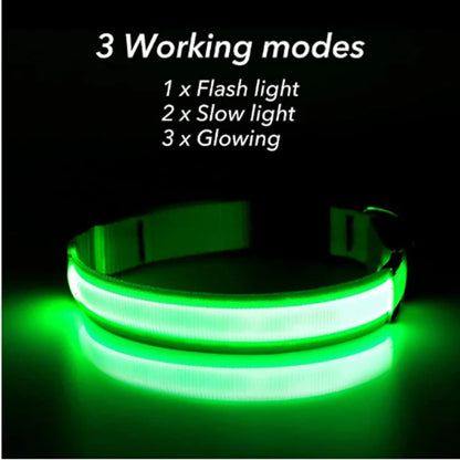 COOYOMOO USB rechargeable LED glowing pet collar