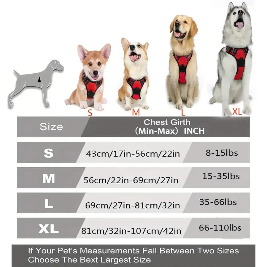 Premium leather dog harness & collar set – Style meets comfort