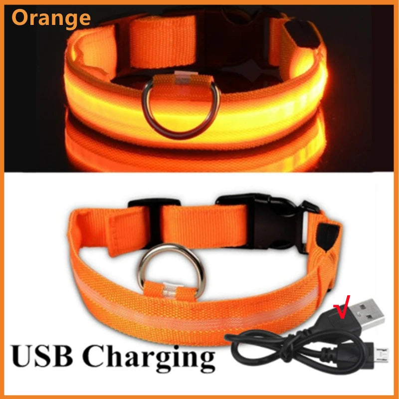 COOYOMOO USB rechargeable LED glowing pet collar