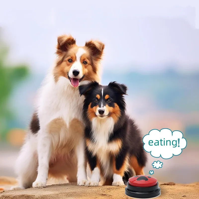 Recordable talking button for dogs – Fun & interactive pet communication toy