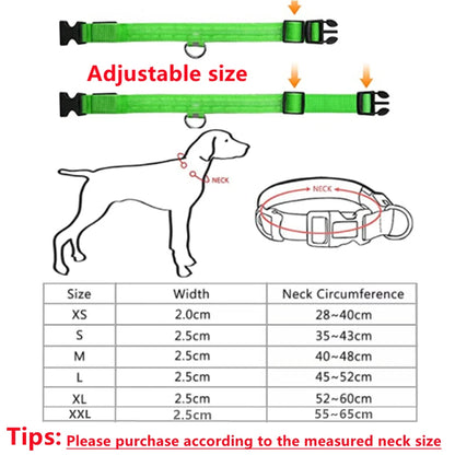 COOYOMOO USB rechargeable LED glowing pet collar