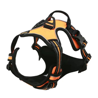 Premium leather dog harness & collar set – Style meets comfort