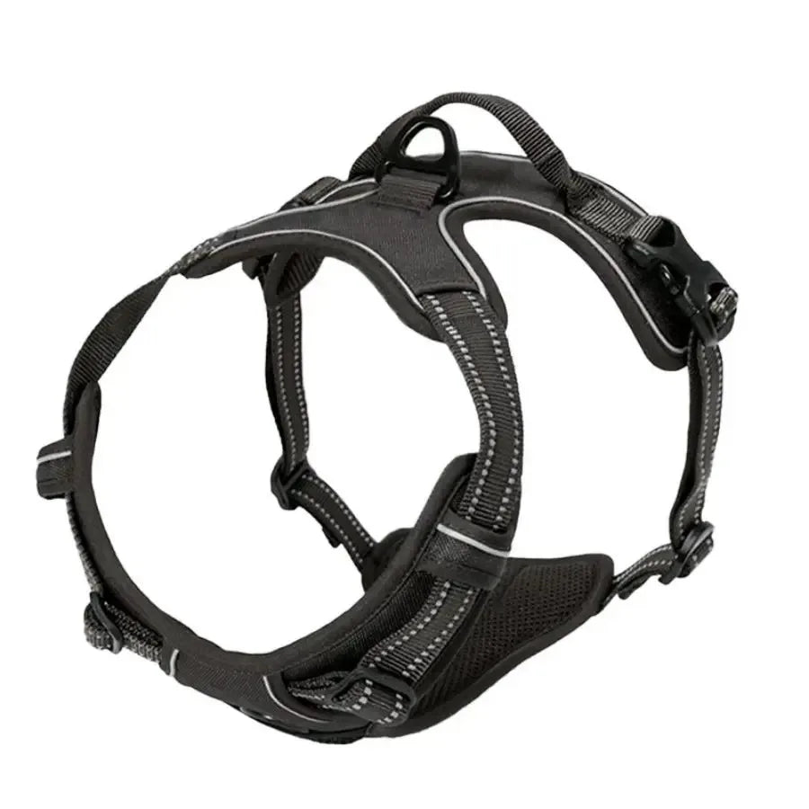 Premium leather dog harness & collar set – Style meets comfort