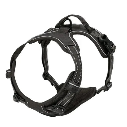 Premium leather dog harness & collar set – Style meets comfort